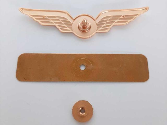 Pilot wing with plate